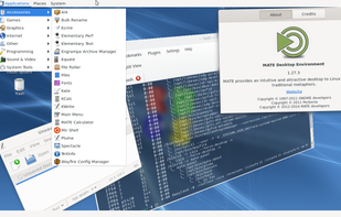 RebeccaBlackOS screenshot 2