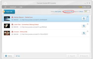 Freemake YouTube Converter screenshot 1