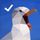 Seagull - To Do List icon