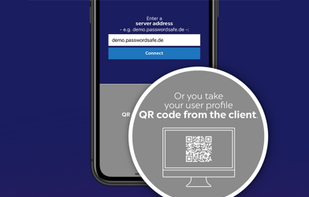 Netwrix Password Secure screenshot 2