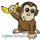 CyberChimps icon