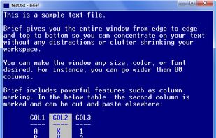 Brief text editor screenshot 1