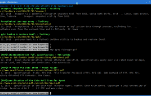 Googler screenshot 1