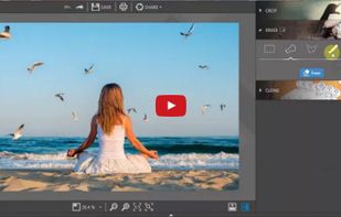 Girl and birds