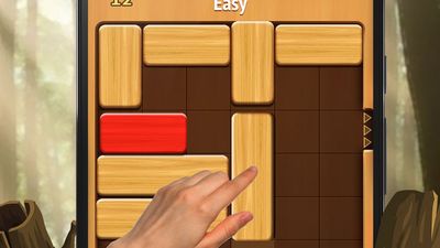 Unblock Wood Block Puzzle game on the App Store