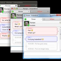 Conversation window - Linux, Mac and Windows