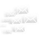 SaaSiter Subscriber icon