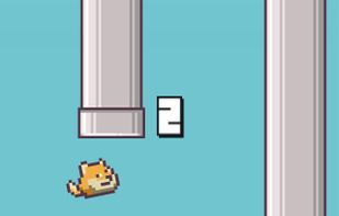 Dumpy Doge screenshot 2