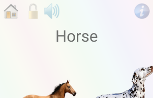 Choose the right animal game