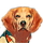 Beagle IM icon