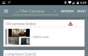 Blue Iris screenshot 1