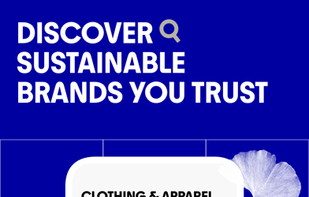 Commons: Sustainable Spending screenshot 2