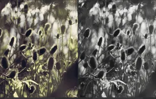 TwinPixels screenshot 3