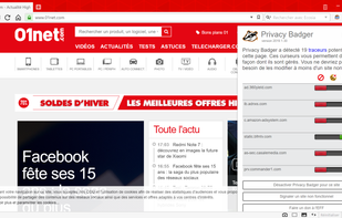 Overview of Privacy Badger extension