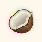 Coconote  icon