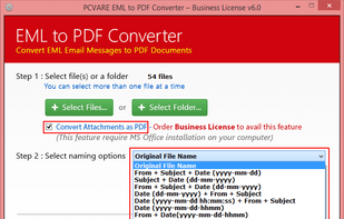 Choose from File Naming Options