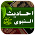 Ahadith e Nabvi – Learn Sunnah icon
