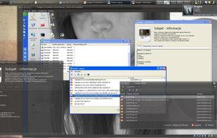 Subget screenshot 1