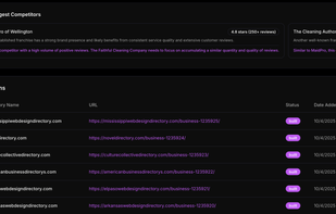 Local SEO Bot screenshot 2