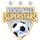 Football Superstars icon