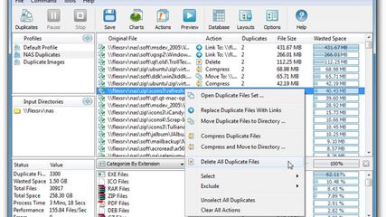 The DupScout main GUI application provides the user with the ability to detect duplicate files, review detected duplicates, export reports to the HTML, text and Excel CSV formats, select duplicates that should be removed and execute numerous types of duplicate files removal actions.