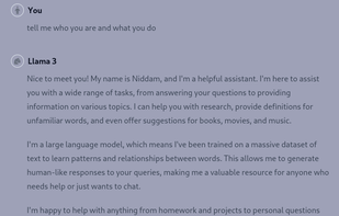 Niddam_yar screenshot 3