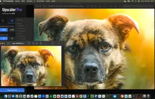 Professional quality upscaling, preserving textures and overall image quality. No subscriptions, no fees. Yours forever. 100% private and local.