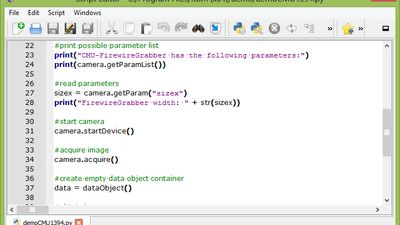 Python script editor with syntax highlighting and debugging