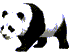 Panda-Sql icon