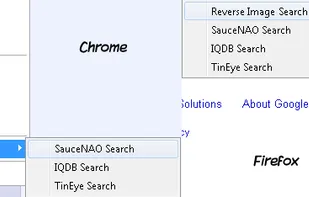 Image Search Options screenshot 3