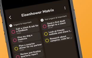 "Easy To Prioritize"
Eisenhower Matrix View (Mobile)
Drag & Drop Organization