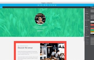 Theme inspector to rapidly switch themes with no coding