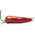 ChiliProject icon