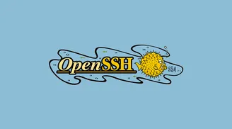 OpenSSH 10.1 enhances certificate logging and disallows control characters in usernames image