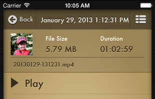 Voice Record Pro screenshot 3