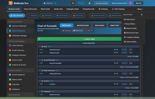 BizBooks Pro screenshot 2