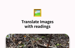 Translate Images with Readings