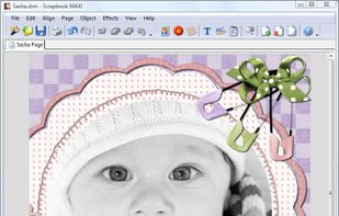 Scrapbook MAX! screenshot 1