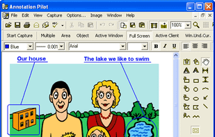 Annotation Pilot screenshot 1