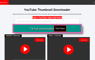 YouThumbnail screenshot 1