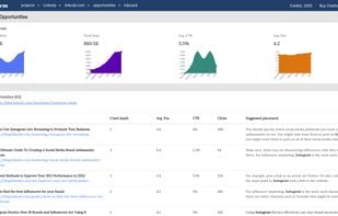 Internal Link Opportunities