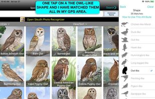 iBird Ultimate Guide to Birds screenshot 3