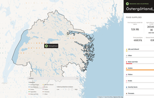 Food Twin screenshot 1