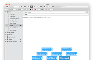 MacJournal screenshot 1
