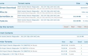 Torrent page