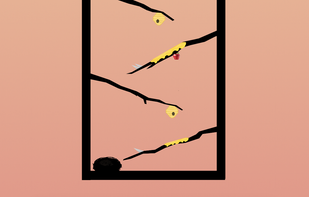 Eggsotic screenshot 3