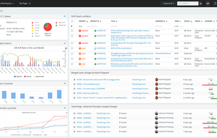 TeamForge screenshot 1