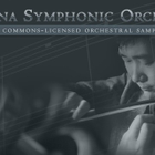Sonatina Symphonic Orchestra Module icon