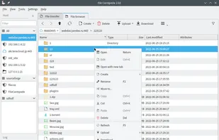 File Centipede screenshot 2