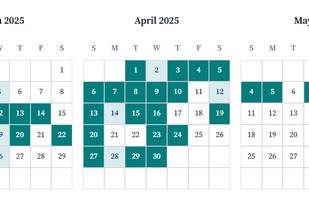 See your writing habit at a glance access your past pieces via the calendar